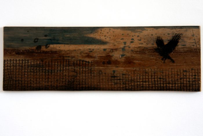 Vogelvlucht Cyanotype & grafiek op hout